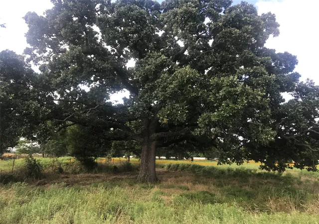 Photo 2 of Land for sale at 0000 Tbd I 20 Frontage, Wills Point, TX 75169 | MLS# 21215274 | Listing updated on 2026-08-31