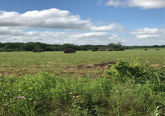 Photo 3 of Land for sale at 0000 Tbd I 20 Frontage, Wills Point, TX 75169 | MLS# 21215274 | Listing updated on 2026-08-31