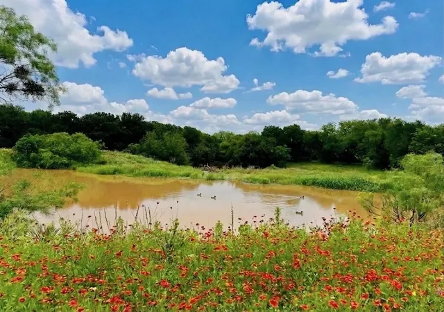 Homes for sale in Early, TX | 7328 Hwy 183 N, Early, TX 76802 | MLS# 21205460