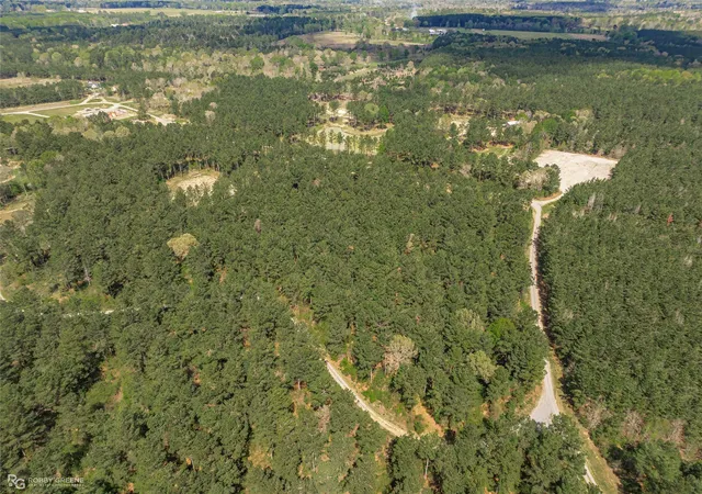 Photo 3 of Land for sale at 0 Providence Private Ln, Frierson, LA 71027 | MLS# 21215432 | Listing updated on 2026-09-01
