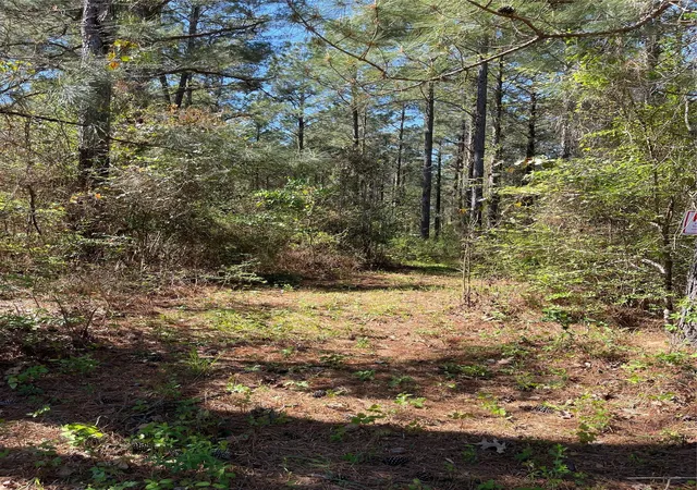 Photo 4 of Land for sale at 0 Providence Private Ln, Frierson, LA 71027 | MLS# 21215432 | Listing updated on 2026-09-01