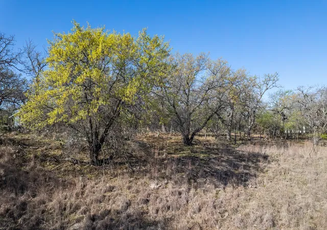 Homes for sale in May, TX | Tbd Lot 1038 Oak Point Dr, May, TX 76857 | MLS# 21215763