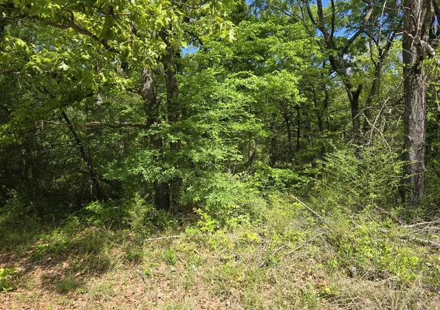 Homes for sale in Gun Barrel City, TX | Lot 699 Shady Grove Rd, Gun Barrel City, TX 75156 | MLS# 21216255