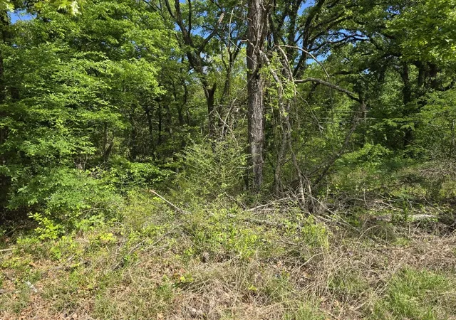 Homes for sale in Gun Barrel City, TX | Lot 699 Shady Grove Rd, Gun Barrel City, TX 75156 | MLS# 21216255