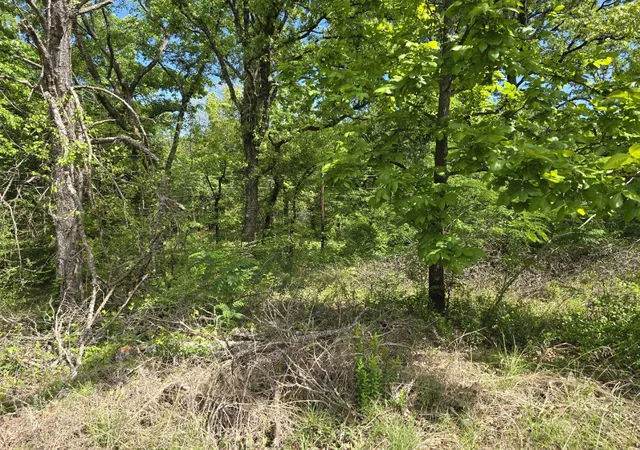 Photo 3 of Land for sale at Lot 699 Shady Grove Rd, Gun Barrel City, TX 75156 | MLS# 21216255 | Listing updated on 2026-08-17