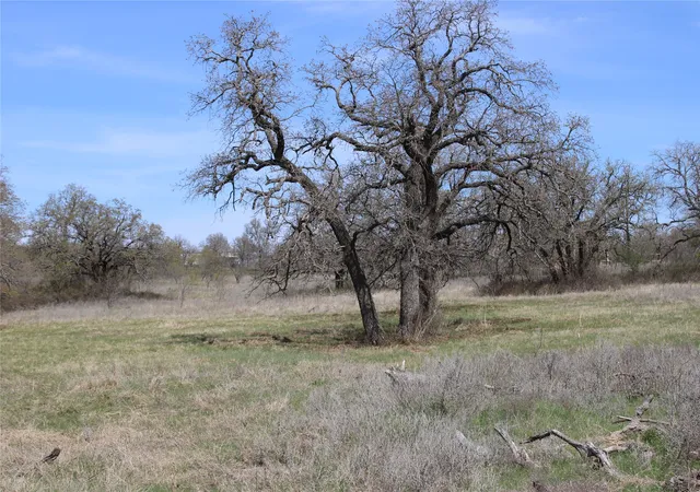 Homes for sale in Perrin, TX | 21 Ac Erwin, Perrin, TX 78486 | MLS# 21216986