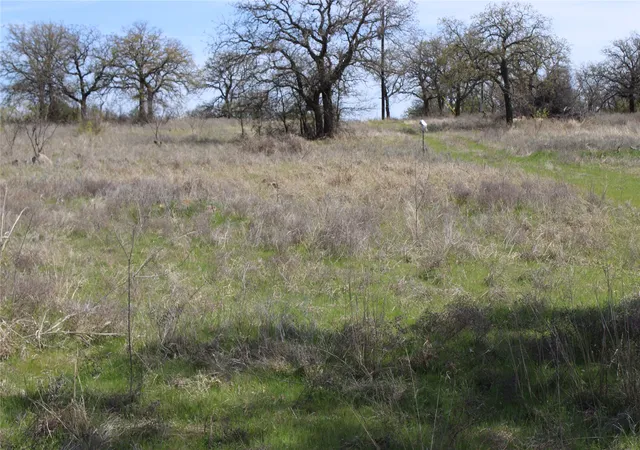 Homes for sale in Perrin, TX | 21 Ac Erwin, Perrin, TX 78486 | MLS# 21216986