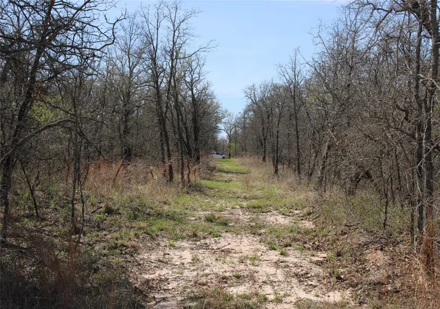 Homes for sale in Perrin, TX | 13 Ac N Mason, Perrin, TX 78486 | MLS# 21217112