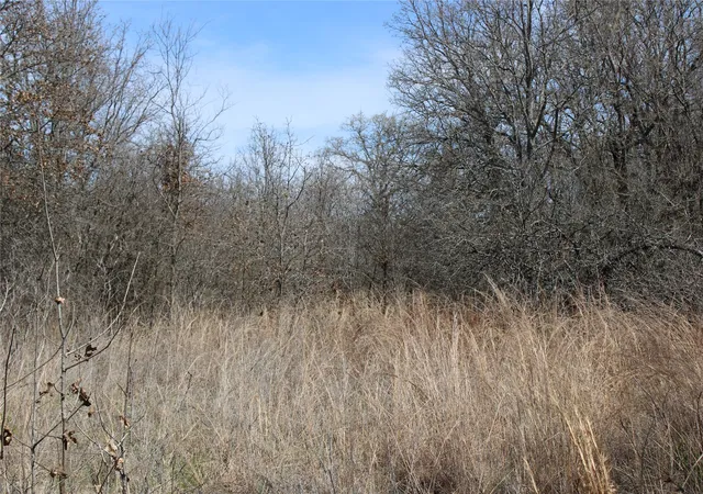 Homes for sale in Perrin, TX | 13 Ac N Mason, Perrin, TX 78486 | MLS# 21217112