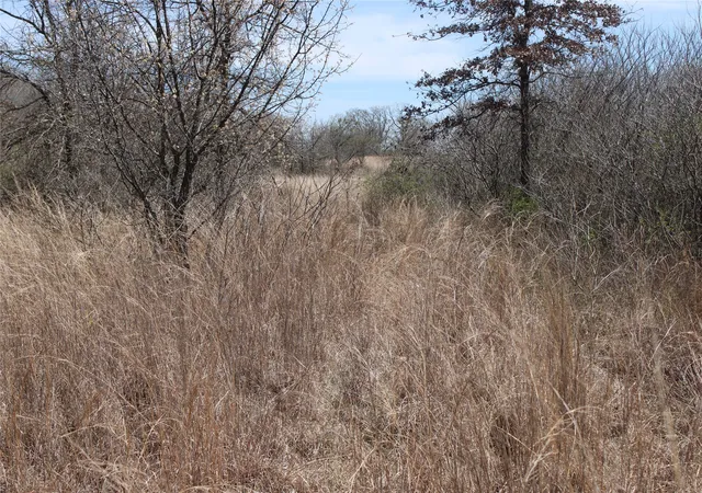 Homes for sale in Perrin, TX | 13 Ac N Mason, Perrin, TX 78486 | MLS# 21217112