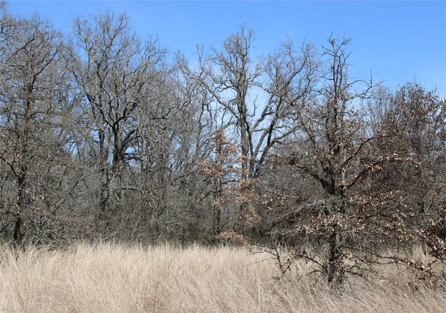 Homes for sale in Perrin, TX | 13 Ac N Mason, Perrin, TX 78486 | MLS# 21217112