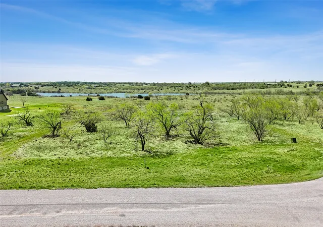 Homes for sale in Perrin, TX | 1041 Goodnight Trl, Perrin, TX 76486 | MLS# 21217426