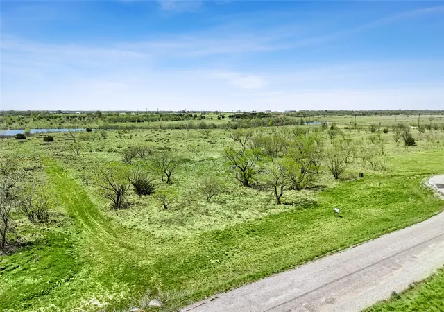 Homes for sale in Perrin, TX | 1041 Goodnight Trl, Perrin, TX 76486 | MLS# 21217426