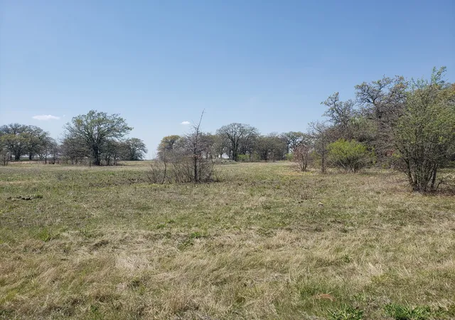 Homes for sale in Chico, TX | Tbd County Road 1990, Chico, TX 76431 | MLS# 21218526