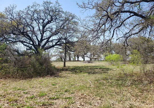 Homes for sale in Chico, TX | Tbd County Road 1990, Chico, TX 76431 | MLS# 21218526