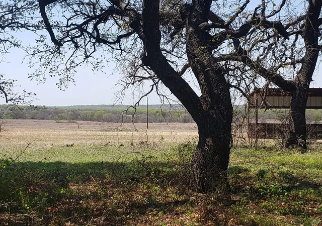 Homes for sale in Chico, TX | Tbd County Road 1990, Chico, TX 76431 | MLS# 21218526