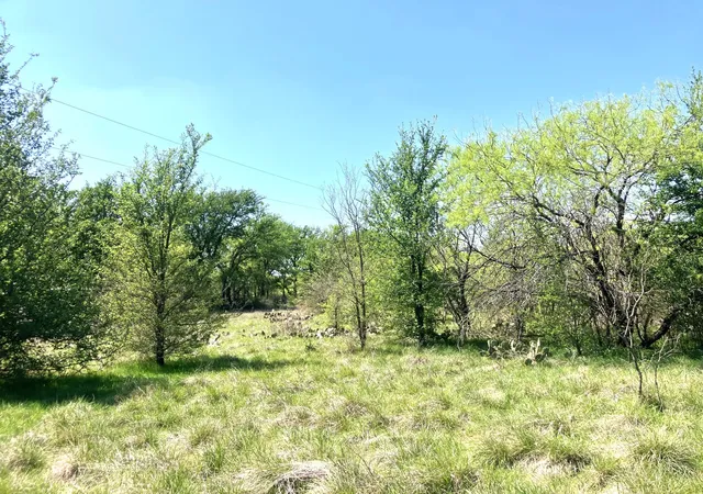 Homes for sale in Comanche, TX | 780 County Road 410a, Comanche, TX 76442 | MLS# 21219179