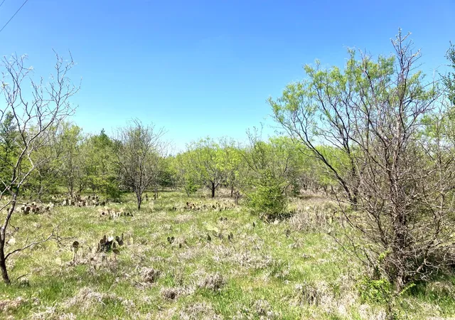 Homes for sale in Comanche, TX | 780 County Road 410a, Comanche, TX 76442 | MLS# 21219179