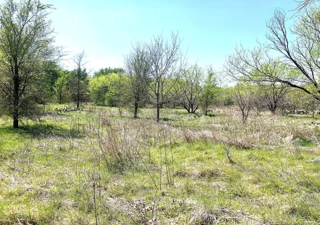 Homes for sale in Comanche, TX | 780 County Road 410A, Comanche, TX 76442 | MLS# 21219179