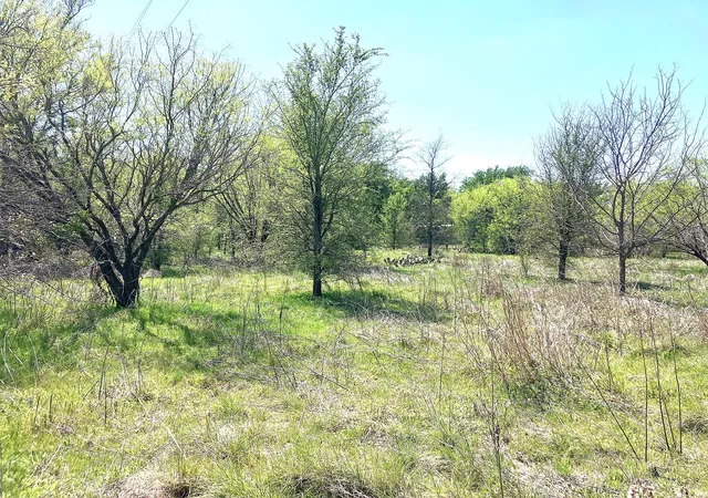 Homes for sale in Comanche, TX | 780 County Road 410A, Comanche, TX 76442 | MLS# 21219179