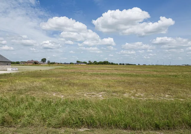 Homes for sale in Wills Point, TX | 1099 Deerfield Dr, Wills Point, TX 75169 | MLS# 21216471
