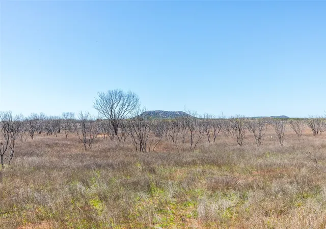 Photo 3 of Land for sale at Tbd Cr 614, Ovalo, TX 79541 | MLS# 21219364 | Listing updated on 2026-09-16