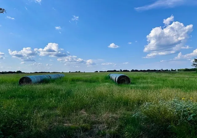 Homes for sale in Bailey, TX | Tbd 11ac Tx 11, Bailey, TX 75413 | MLS# 21218077