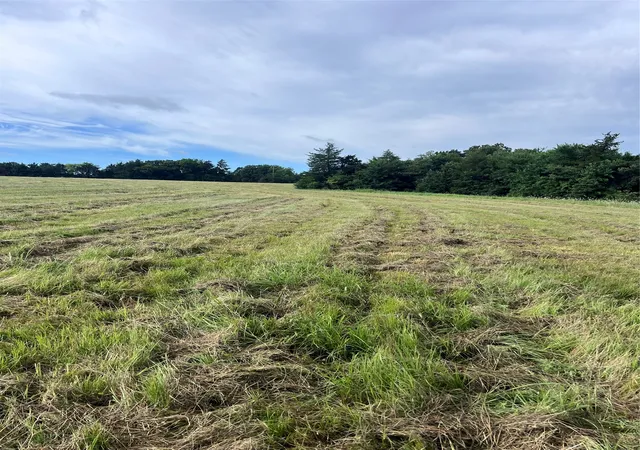 Photo 2 of Land for sale at Tbd County Road 4574, Sulphur Springs, TX 75482 | MLS# 21218929 | Listing updated on 2026-07-23