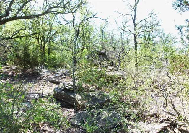 Homes for sale in Brookesmith, TX | Tbd Hwy 377 S, Brookesmith, TX 76827 | MLS# 21220192