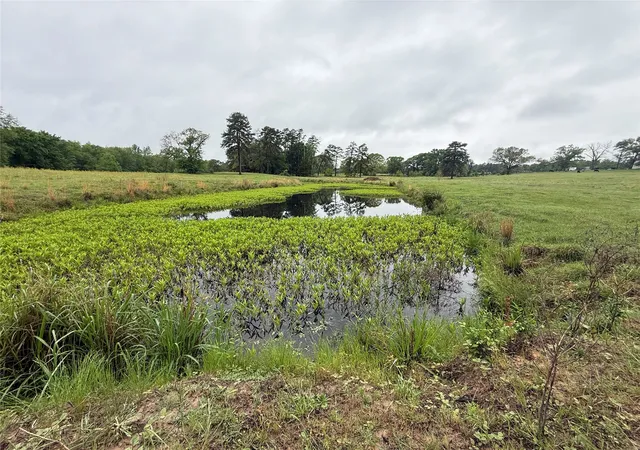 Photo 3 of Land for sale at Tbd Fm 773, Murchison, TX 75778 | MLS# 21220702 | Listing updated on 2026-08-22