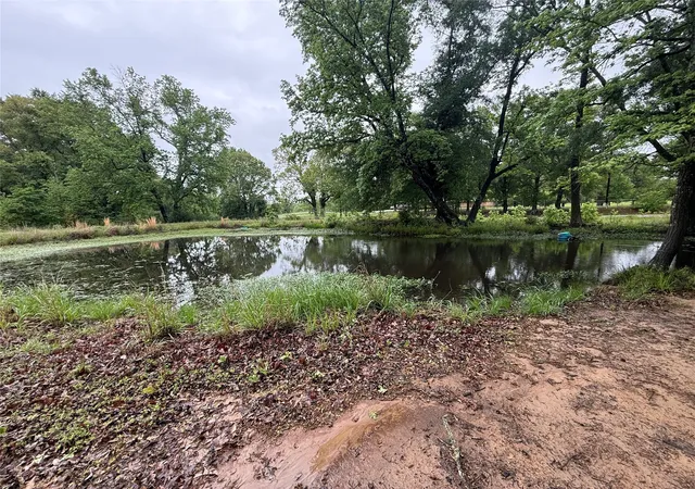 Photo 4 of Land for sale at Tbd Fm 773, Murchison, TX 75778 | MLS# 21220702 | Listing updated on 2026-08-22
