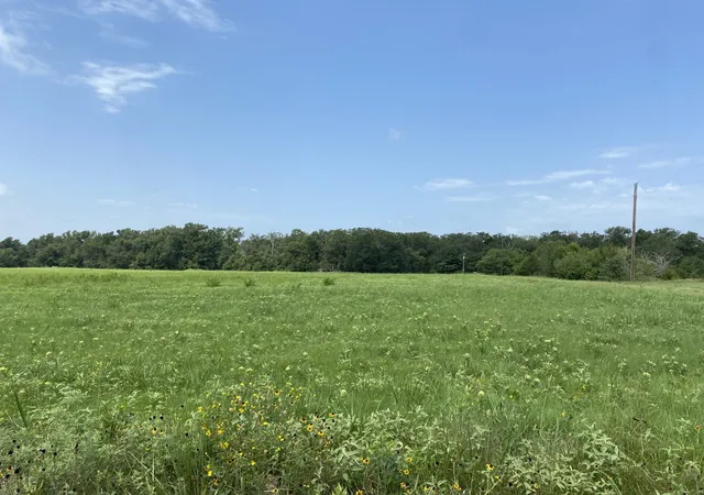 Homes for sale in Dike, TX | Tract 3 Tbd Cr 3631, Dike, TX 75437 | MLS# 21220869