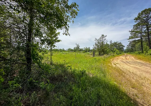 Homes for sale in Antlers, OK | 001 N 4220 Rd, Antlers, OK 74536 | MLS# 21221035
