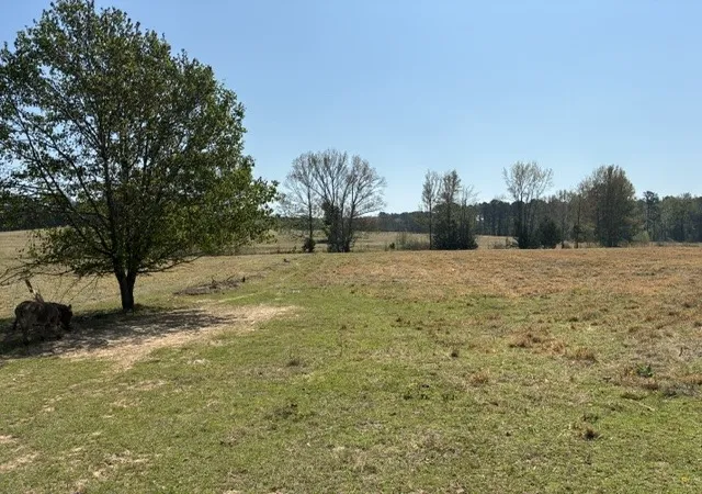 Photo 3 of Land for sale at D 1 Dorcheat Rd, Minden, LA 71055 | MLS# 21220609 | Listing updated on 2026-07-09
