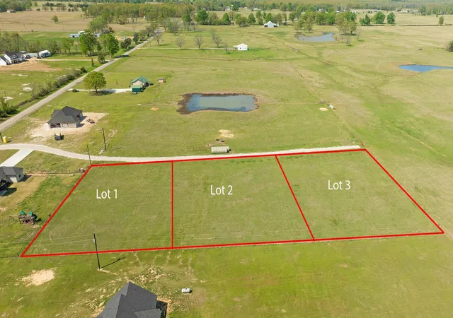Photo 2 of Sale Pending at 000 Lot 1 Twin Trails, Blossom, TX 75416 | MLS# 21219709 | Listing updated on 2026-08-28