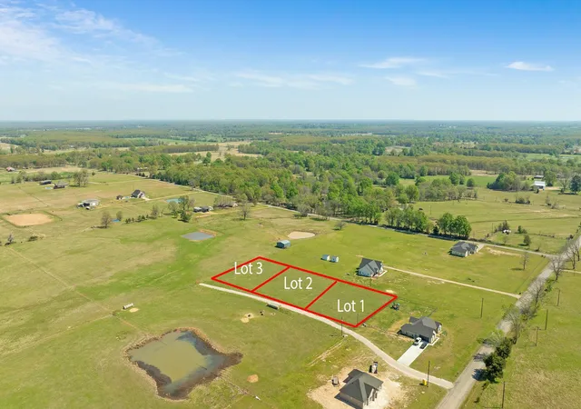 Homes for sale in Blossom, TX | 000 Lot 1 Twin Trails, Blossom, TX 75416 | MLS# 21219709