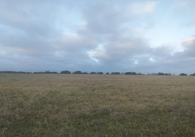 Photo 4 of Land for sale at 2834 St Hwy 81, Itasca, TX 76055 | MLS# 21221716 | Listing updated on 2026-07-08