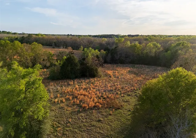 Homes for sale in Elkhart, TX | 00 County Road 117, Elkhart, TX 75839 | MLS# 21221785
