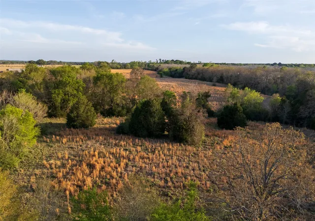 Homes for sale in Elkhart, TX | 00 County Road 117, Elkhart, TX 75839 | MLS# 21221785