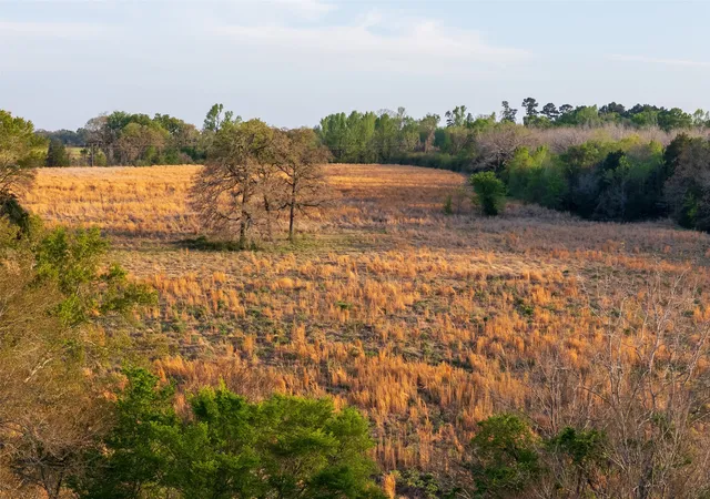 Homes for sale in Elkhart, TX | 00 County Road 117, Elkhart, TX 75839 | MLS# 21221785