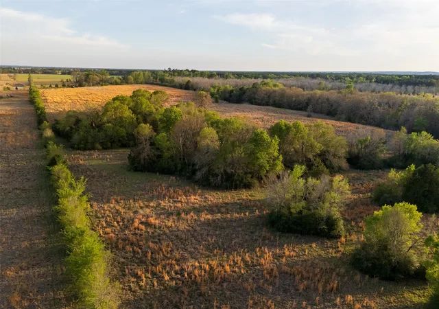 Homes for sale in Elkhart, TX | 00 County Road 117, Elkhart, TX 75839 | MLS# 21221785