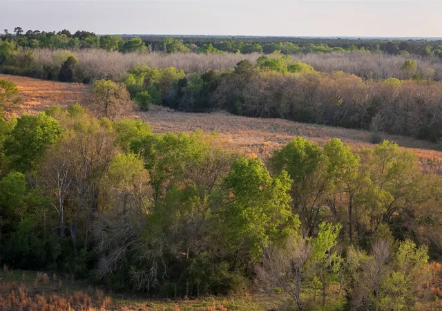 Homes for sale in Elkhart, TX | 00 County Road 117, Elkhart, TX 75839 | MLS# 21221785