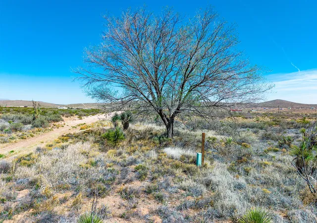 Photo 3 of Land for sale at Tbd Dave Head Loop, Fort Hancock, TX 79839 | MLS# 21220416 | Listing updated on 2026-08-31