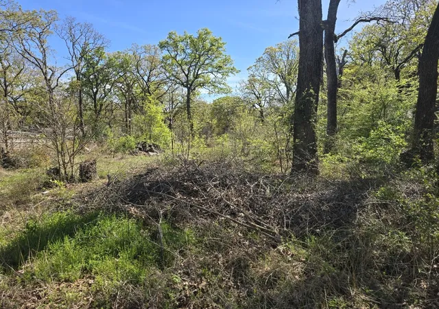 Photo 1 of Land for sale at Lot 742 Oak Haven Dr, Gun Barrel City, TX 75156 | MLS# 21195449 | Listing updated on 2026-08-18