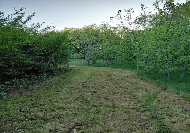 Photo 3 of Land for sale at 1327 Charlotte St, Dallas, TX 75211 | MLS# 21222486 | Listing updated on 2026-03-31