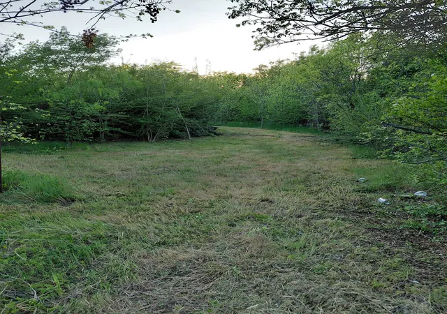 Photo 4 of Land for sale at 1327 Charlotte St, Dallas, TX 75211 | MLS# 21222486 | Listing updated on 2026-03-31