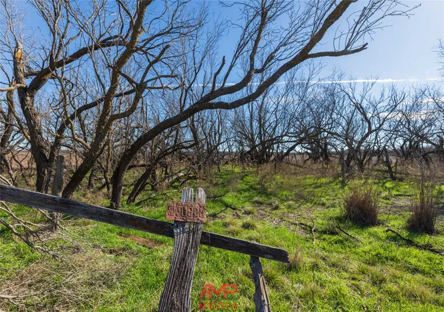 Homes for sale in Avoca, TX | T B D County Road 260, Avoca, TX 79503 | MLS# 21222690