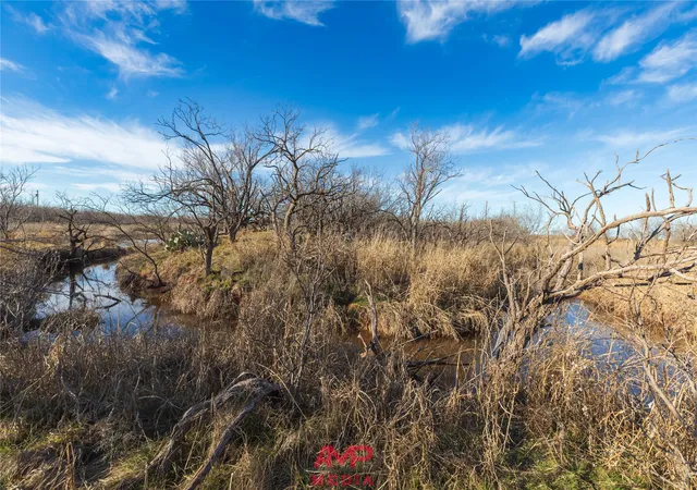 Homes for sale in Avoca, TX | T B D County Road 260, Avoca, TX 79503 | MLS# 21222690