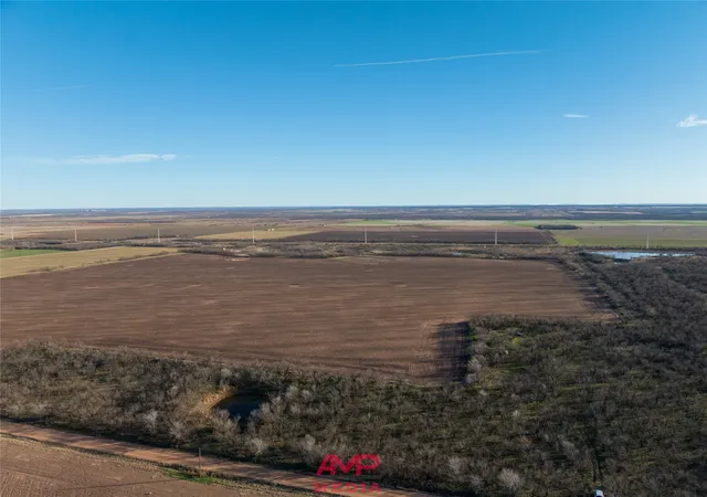 Homes for sale in Avoca, TX | T B D County Road 260, Avoca, TX 79503 | MLS# 21222690