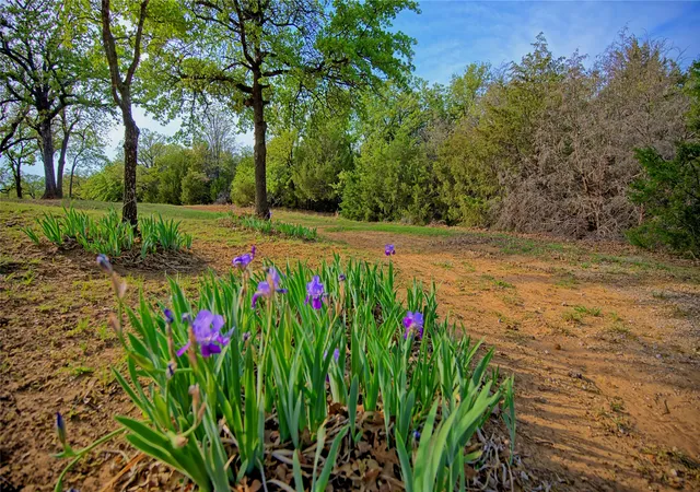 Photo 4 of Sale Pending at Tbd Storey Rd, Nocona, TX 76255 | MLS# 21219410 | Listing updated on 2026-09-21